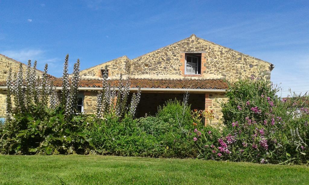 Chambres d'hôtes les Hautes Papinières Saint-Prouant Extérieur photo